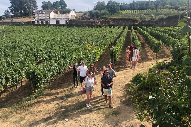 Premium Douro Valley Small-Group Tour, Wine Tasting, Lunch & Boat - Pinhão and the one-hour wooden boat ride