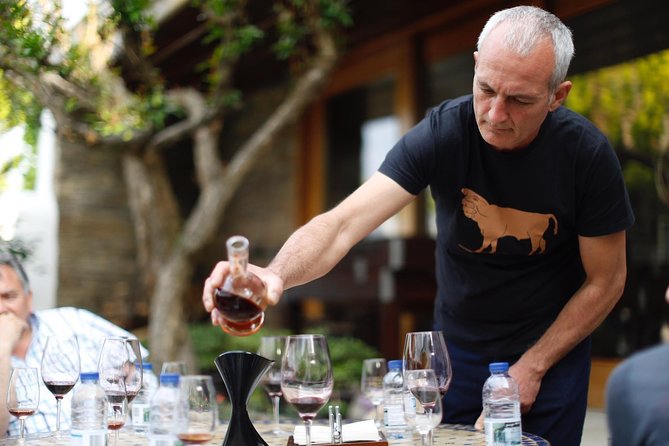 Premium Private Douro Tour: 3 Wineries with Tastings & Lunch - The morning drive from Porto to Favaios