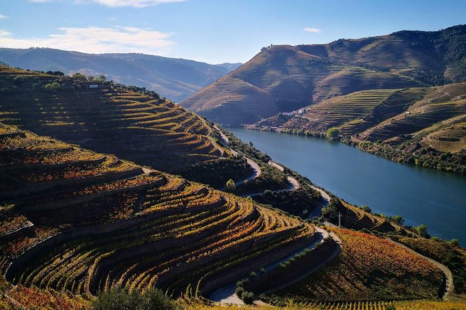 Premium Private Douro Tour: 3 Wineries with Tastings & Lunch - Pinhão, the tiled station, and a proper Douro lunch
