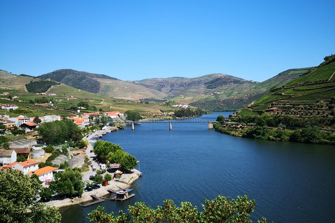Premium Private Douro Tour: 3 Wineries with Tastings & Lunch - Quinta de Tourais and the difference between DOC wine and Port