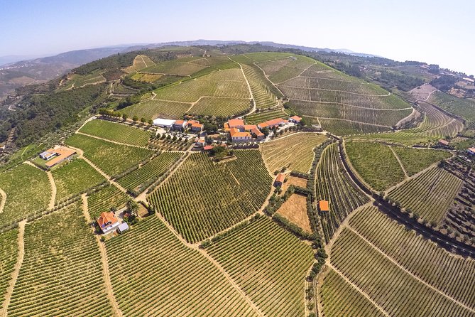 Premium Private Douro Tour: 3 Wineries with Tastings & Lunch - Quinta Seara d’Ordens and the final tasting