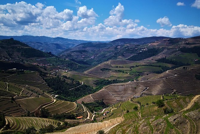Premium Private Douro Tour: 3 Wineries with Tastings & Lunch - Guides, vehicles, and the private group setup