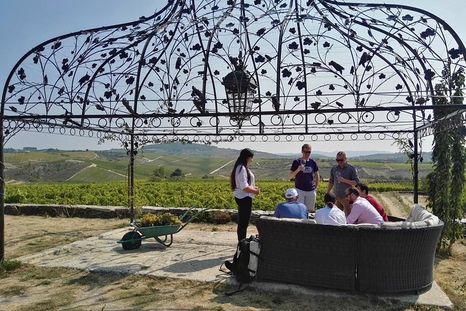 Premium Private Douro Tour: 3 Wineries with Tastings & Lunch - Quinta de Avessada and the introduction to Moscatel