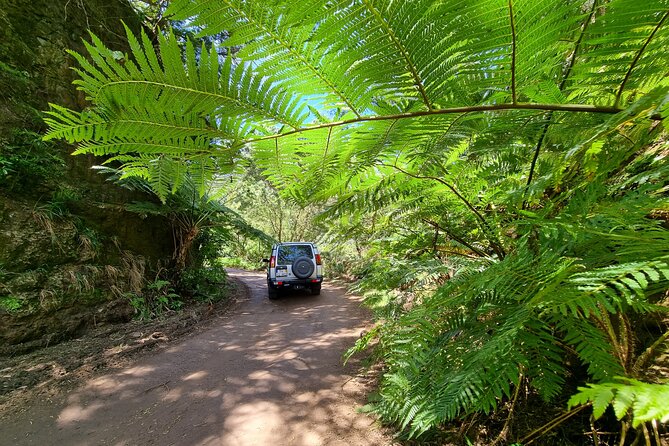 Private 4x4 Jeep Full Day Porto Moniz or Santana - Faial, Porto da Cruz, and the north coast viewpoints