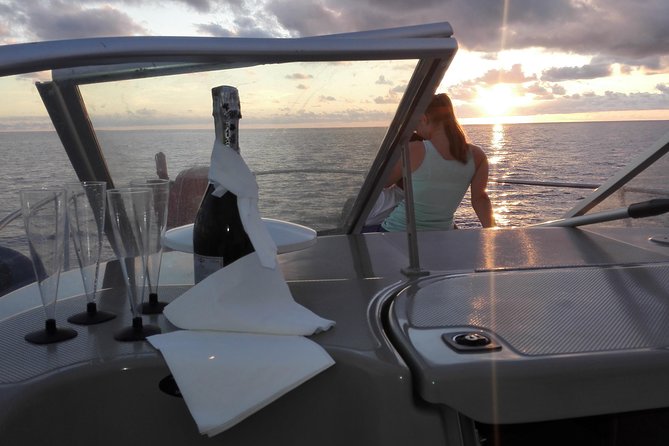 Private Dolphin and Whale Watching Tour in Madeira - Key points to know before booking