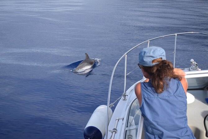 Private Dolphin and Whale Watching Tour in Madeira - The crew and onboard care