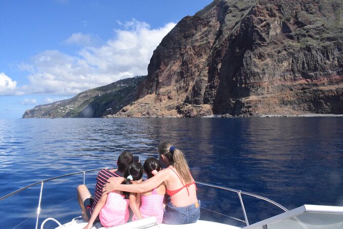 Private Dolphin and Whale Watching Tour in Madeira - Is $592.56 good value?