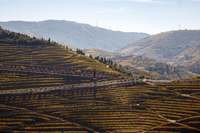 Private Douro 4x4 Adventure from Porto with Deluxe Pic nic - Leaving Porto at 8 a.m.