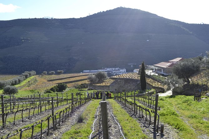Private Douro 4x4 Adventure from Porto with Deluxe Pic nic - Quinta Seara d’Ordens and the wine tasting