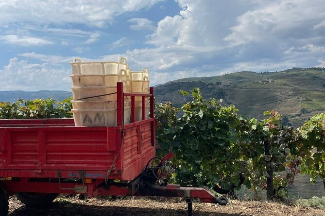 Private Douro 4x4 Adventure from Porto with Deluxe Pic nic - Guides who shape the day