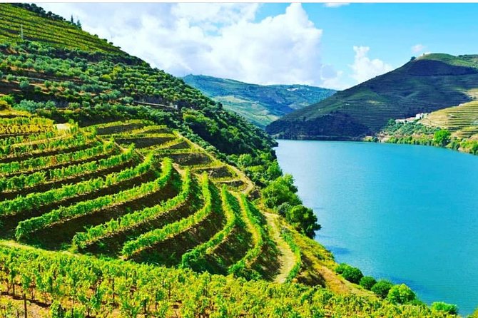 Private Douro Valley Food and Wine Tour From Porto - Peso da Régua gives you your first Douro view