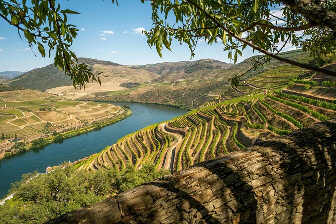 Private Douro Valley Tour: Boutique Winery & River Cruise - Why this is a smart way to see the Douro Valley