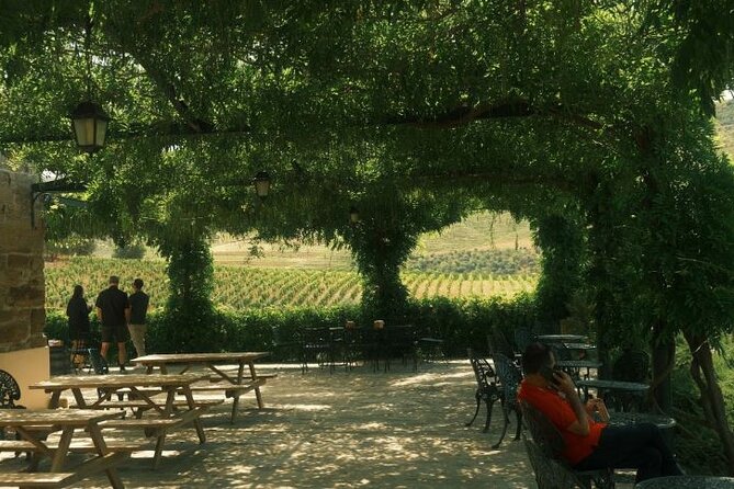 Private Douro Valley Tour with Lunch & Wines - Family wineries and a wider wine lesson