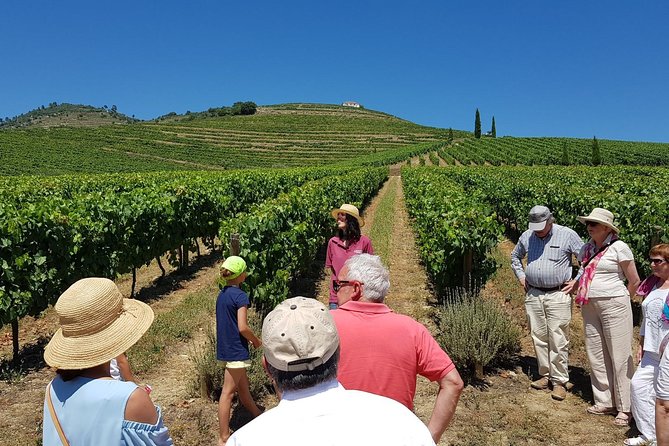 Private Douro Valley Wine Tour: 2 Wine Estates, Lunch and Cruise - Why the Douro works best as a full-day trip