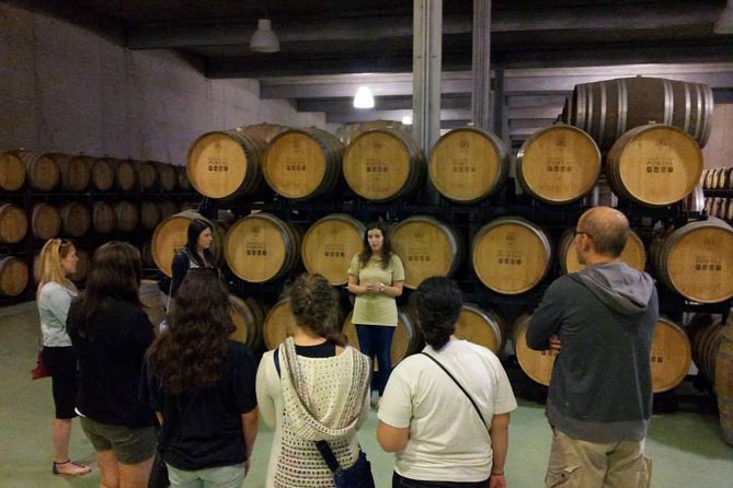Private Douro Valley Wine Tour: 2 Wine Estates, Lunch and Cruise - The first view of the Douro Valley