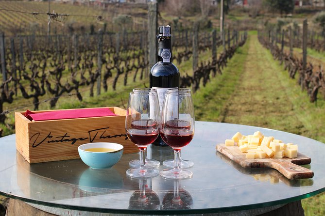 Private Douro Valley Wine Tour: 2 Wine Estates, Lunch and Cruise - Who will get the most from this day