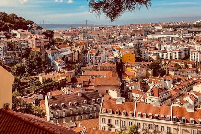 Private Food and Wine Tour: From Street to Gourmet - São Domingos and Rua Augusta
