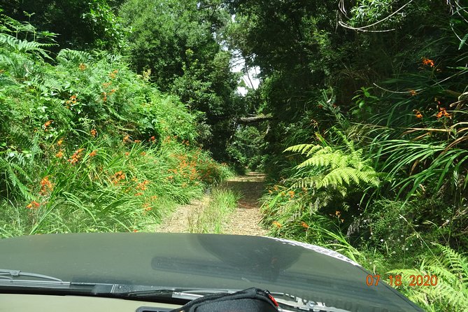 Private Full Day Off-Road Tour in Madeira - The guide matters as much as the vehicle