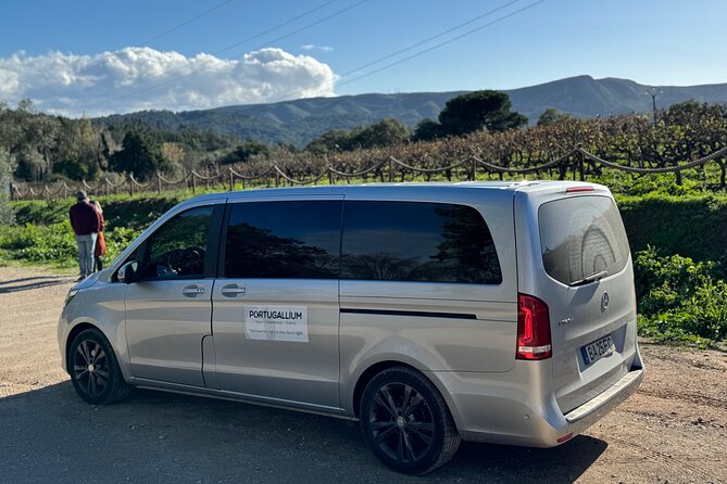 Private Full-Day Wine Tour from Lisbon with Tastings - José Maria da Fonseca: a family wine company with staying power