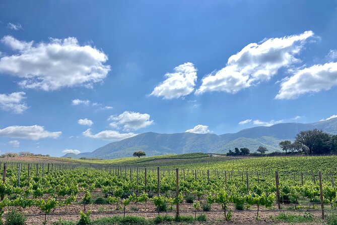 Private Full-Day Wine Tour from Lisbon with Tastings - Cristo Rei: finish above Lisbon
