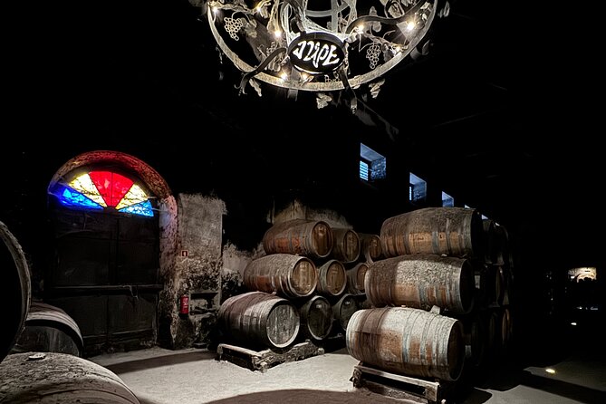 Private Full-Day Wine Tour from Lisbon with Tastings - Arrábida Natural Park: a short scenic break