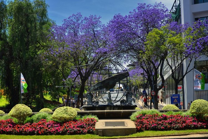 Private Funchal City Tour by Tukxi - Municipal Square and the main civic landmarks