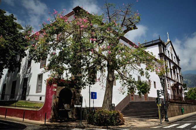Private Funchal City Tour by Tukxi - Quinta das Cruzes and Funchal’s upper streets
