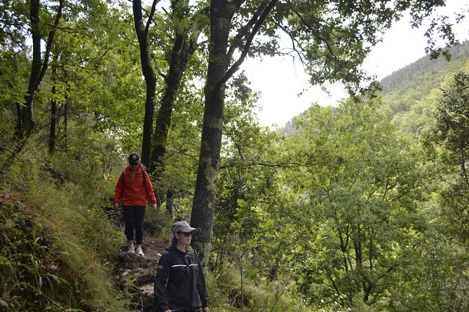 Private Geres National Park Tour with Lunch and Transfers - Why private transport matters here