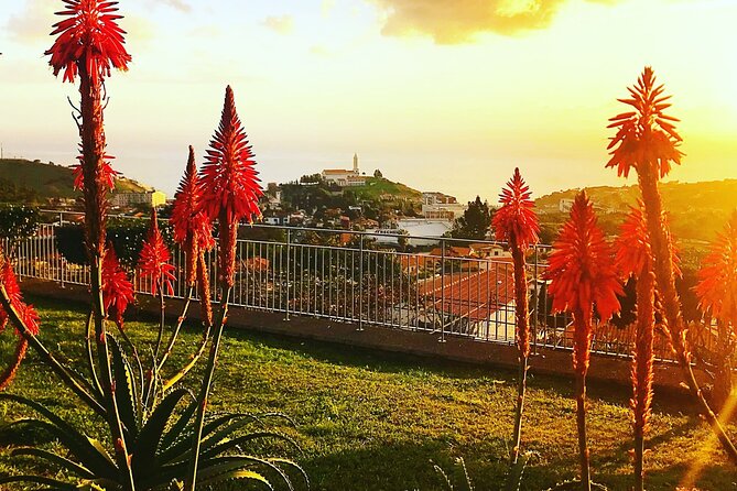 Private Half day tour around Madeira Island - Câmara de Lobos, Madeira’s fishing village with an artistic connection
