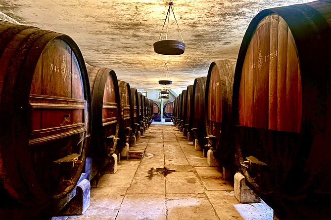 Private Lisbon-Arrábida Wine Tour: 3 Wineries, Coast & Heritage - Livramento Market: start with oysters and local life