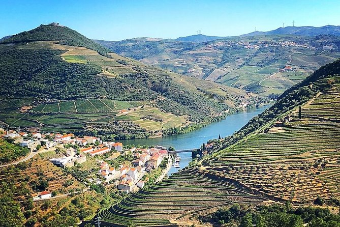Private off the beaten Douro Valley Wine Tour - Meeting a small Douro producer