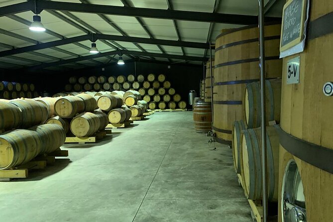 Private Tour - Why this Douro day works so well from Porto