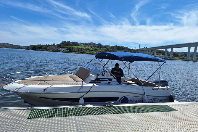 Private Tour of the 6 Bridges with Port Wine - São João and the old railway bridge