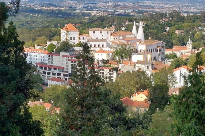 Private Tour Sintra, Palaces and Mountain Tuk Tuk(2 to 6 people) - Starting with a queijada in central Sintra