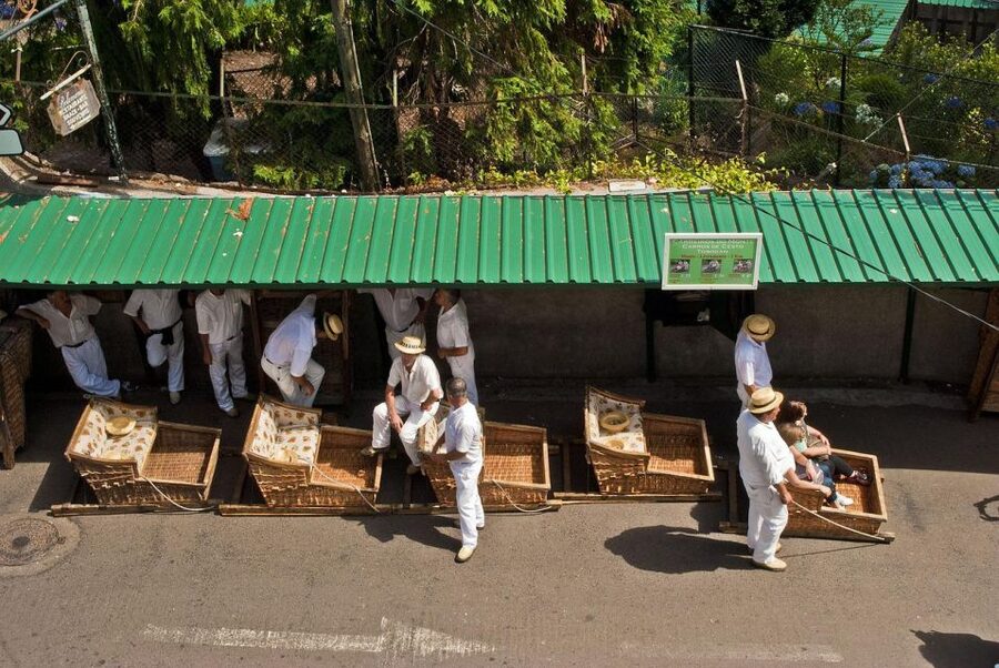 Private tour:Tuk Tuk Ride to Monte Funchal Toboggans - Price, timing, and practical value
