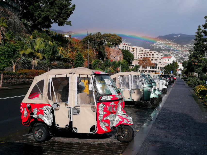 Private tour:Tuk Tuk Ride to Monte Funchal Toboggans - The ride from Funchal to Monte
