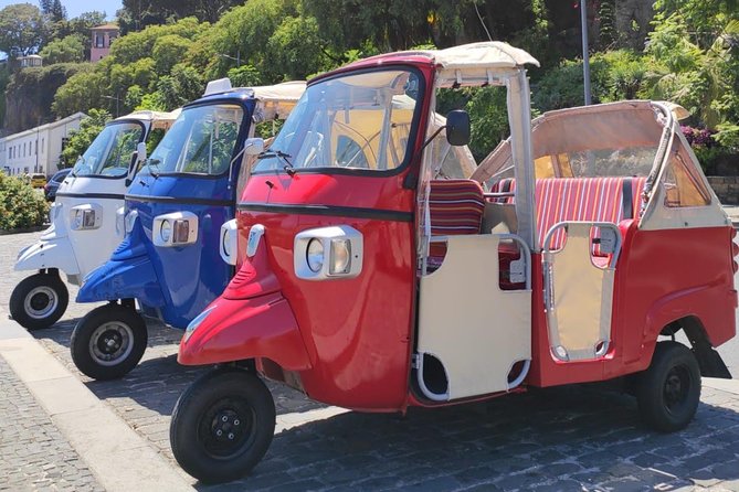 Private Tuk Tuk Tour to Old Town + Monte in Funchal - How much time should you allow?