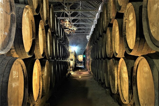 Private Wine Tasting in the Setúbal Wine Region, from Lisbon - The drive from Lisbon starts the conversation