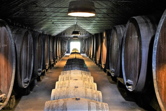 Private Wine Tasting in the Setúbal Wine Region, from Lisbon - José Maria da Fonseca brings the old-school story