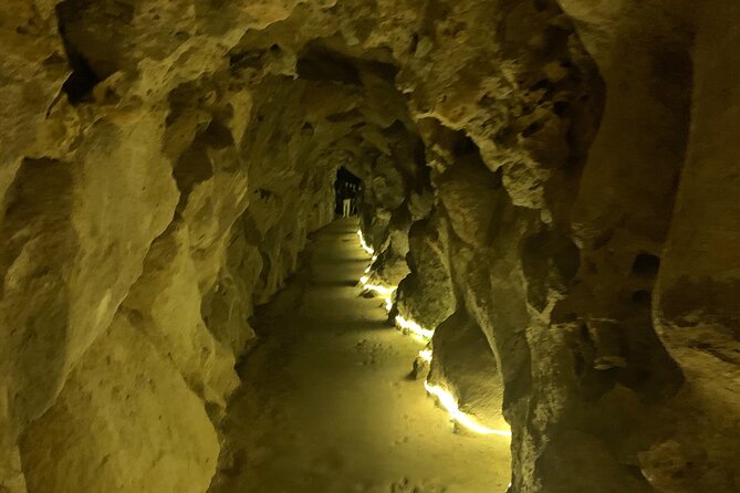 Quinta da Regaleira and Sintra visit half day private tour - What a private guide adds to the visit