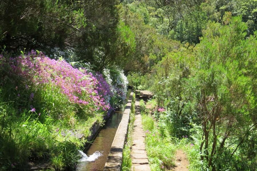 Rabaçal: 25 Fontes & Risco Levada Transfer Self-guided Hike - The 25 Fontes levada and its many falls