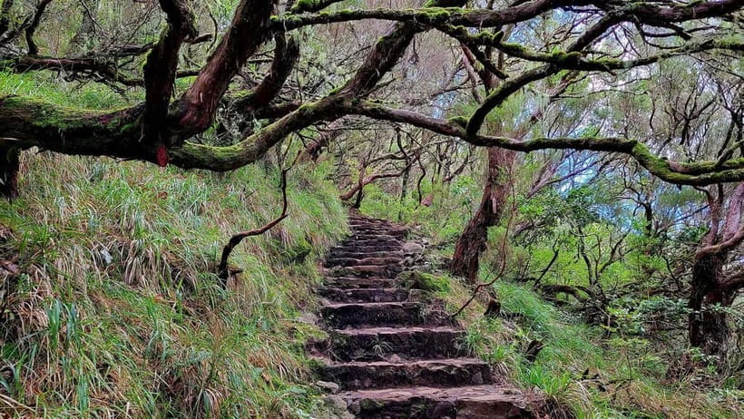 Rabaçal: 25 Fontes & Risco Levada Transfer Self-guided Hike - Five hours on foot: what fits comfortably