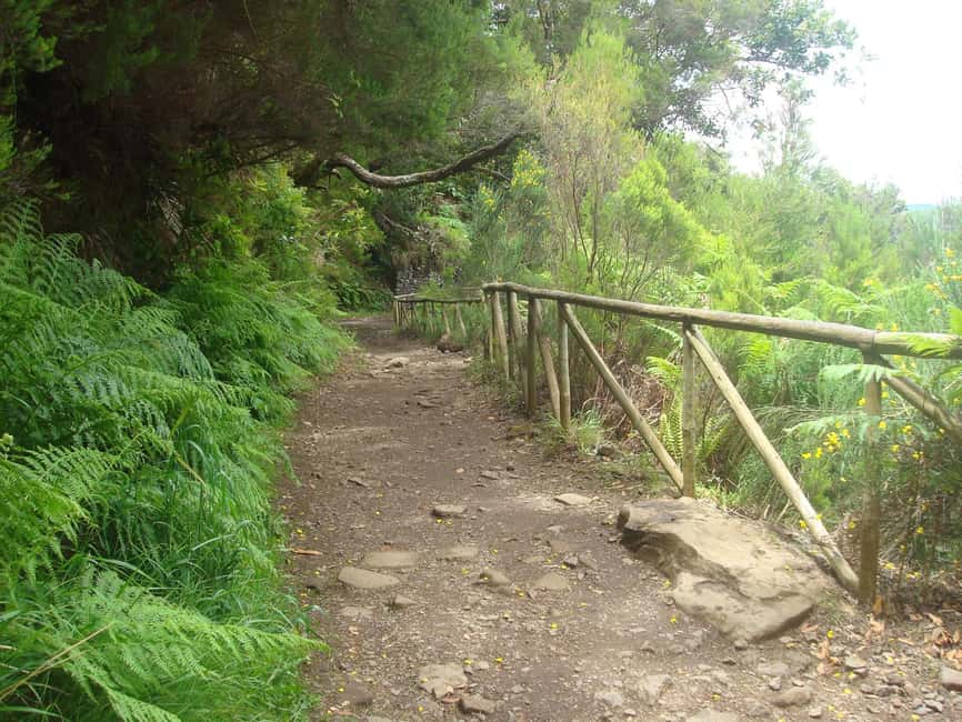 Rabaçal: 25 Fontes & Risco Levada Transfer Self-guided Hike - Weather can change the plan