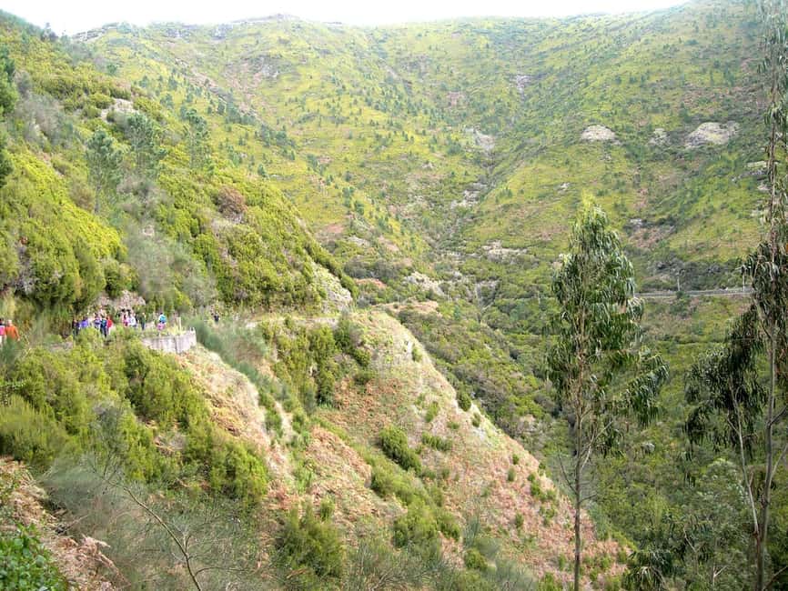 Rabaçal: 25 Fontes & Risco Levada Transfer Self-guided Hike - The shared van from Funchal to Rabaçal