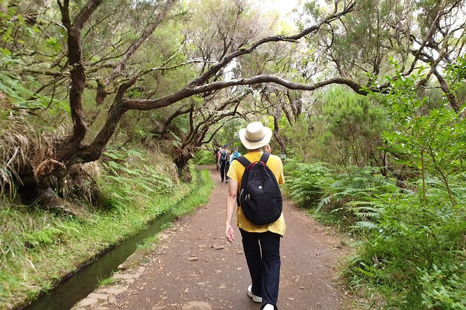 Rabaçal - 25 Fonts - Why the levada makes this walk special