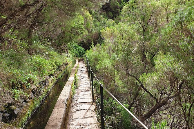 Rabaçal - 25 Fonts - Who will enjoy this Madeira hike?