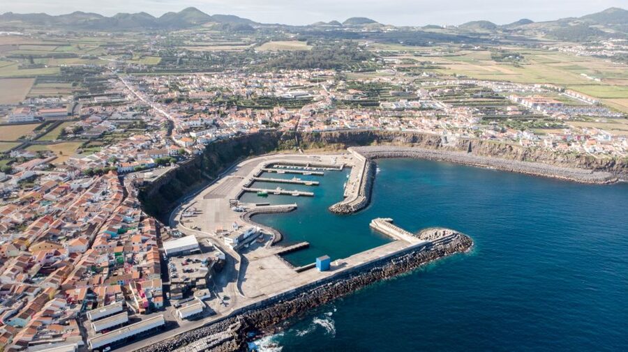 Rabo de Peixe: Sperm Whale Sanctuary Expedition - Three hours on the Atlantic