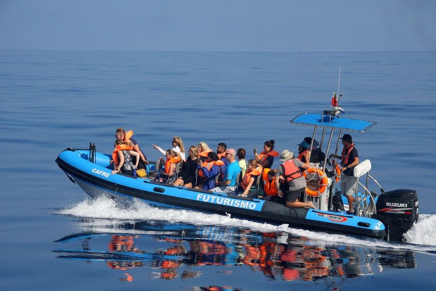 Rabo de Peixe: Sperm Whale Sanctuary Expedition - How the marine biologists shape the experience