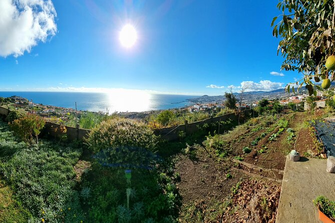 "Re-Canto" Farm-to-Table with Stunning Views at Madeira - Why the $72.41 price can make sense