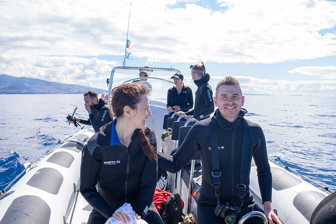 Responsible Whales and/or Dolphins Watching Tour - Returning to Funchal after about two hours